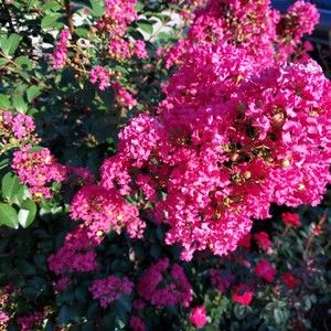 Meet your Posher, Debra